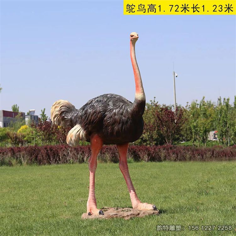 玻璃鋼鴕鳥雕塑 捕獲了鴕鳥的高雅與威勢